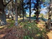 Terreno en Venta Barrio Entre Pinos Bariloche.